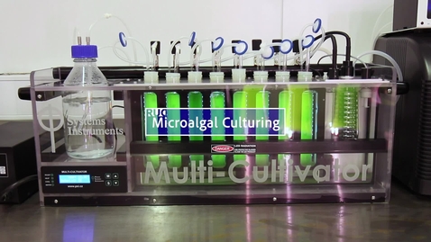 Thumbnail for Microalgal