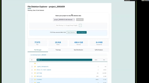 Thumbnail for File Deletion Explorer (short talk at CSC Research User Support Coffee on 5.11.2025)