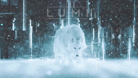 Thumbnail for LUMI EU-access – presentation 14.02.23