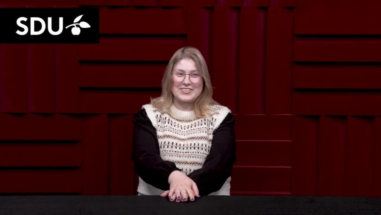 Diplomingeniør i softwareteknologi