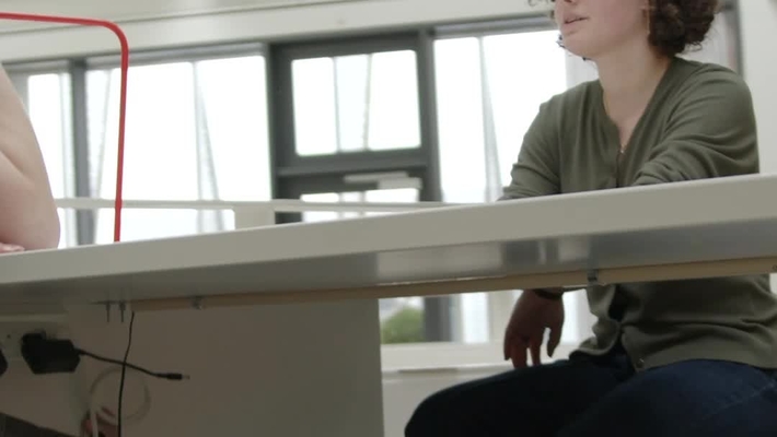 Bacheloruddannelsen i Biblioteksvidenskab, IT og kommunikation på SDU