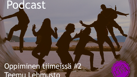 Thumbnail for Oppiminen tiimeissä 2