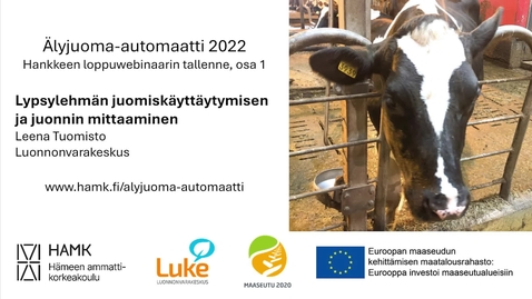 Thumbnail for Lypsylehmän juomiskäyttäytyminen ja juonnin mittaaminen