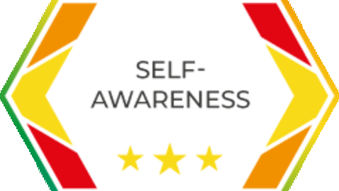 Thumbnail for SOSTRA Self-awareness