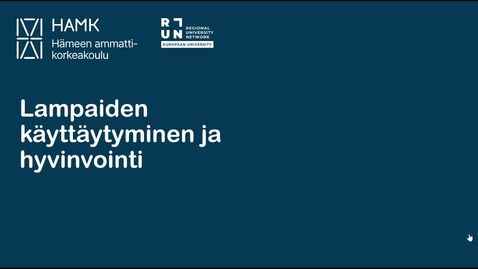 Thumbnail for Lampaiden käyttäytyminen ja hyvinvointi