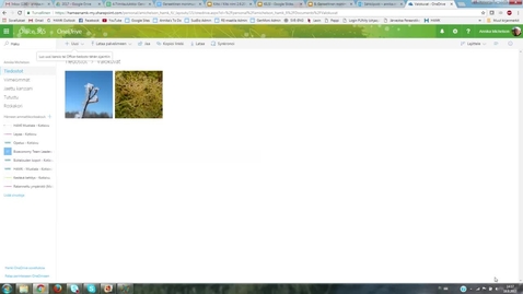 Thumbnail for OneDrive kansion jakaminen avoimesti