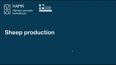 Thumbnail for Sheep production _ welfare and behaviour