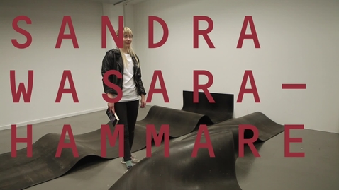 Thumbnail for Sandra Wasara-Hammare / Ovanliga tider