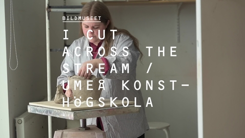 Thumbnail for I CUT ACROSS THE STREAM