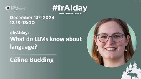 Thumbnail for What do LLMs know about language? - Celiné Budding