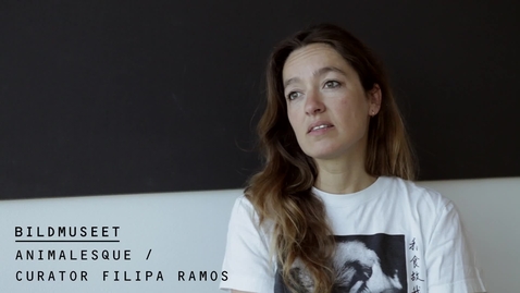 Thumbnail for Filipa Ramos @ Bildmuseet