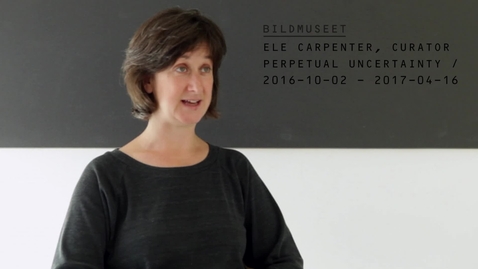 Thumbnail for Ele Carpenter @ Bildmuseet