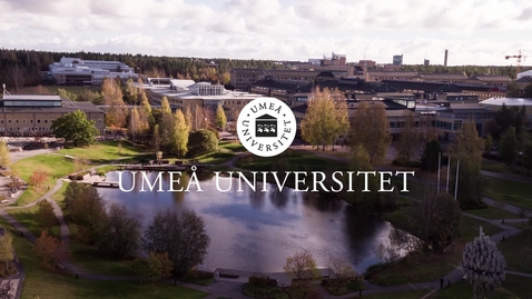 Thumbnail for Tomas Lindgren