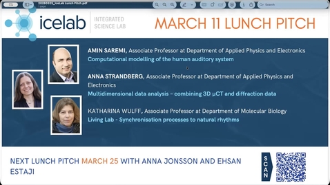 Thumbnail for Lunch Pitch: 2026-03-11: Amin Saremi, Anna Strandberg and Katharina Wulff