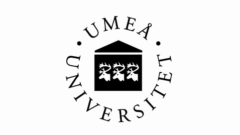 Thumbnail for UmU Bumper