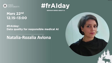 Thumbnail for Data quality for responsible medical AI - Natalia-Rozalia Avlona