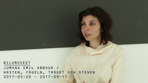 Thumbnail for Jumana Emil Abboud @ Bildmuseet