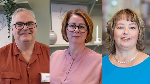 Thumbnail for Thursday Insights: Hur kan vi lösa kompetensbristen i norra Sverige?
