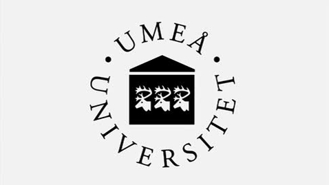 Thumbnail for UmU Bumper