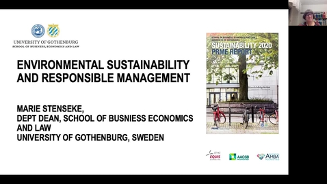 Thumbnail for Marie Stenseke - Environmental sustainability and responsible management