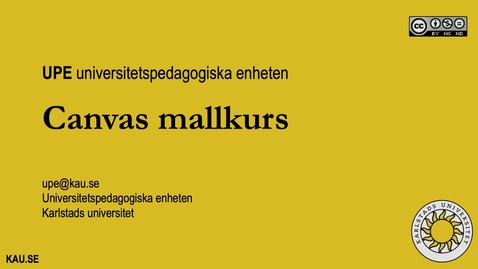 Thumbnail for Canvas Mallkurs