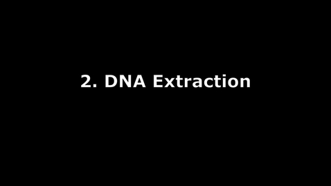 Thumbnail for DNA Lab - Part 2 - Extraction