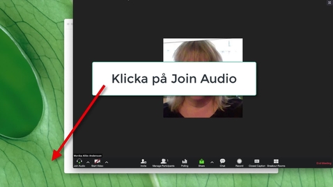 Thumbnail for Test speaker &amp; microphone i Zoom