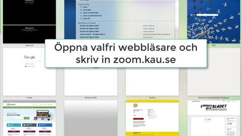 Thumbnail for Inställningar i Zoom