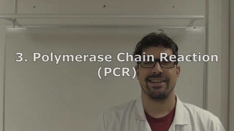 Thumbnail for DNA Lab - Part 3 - PCR