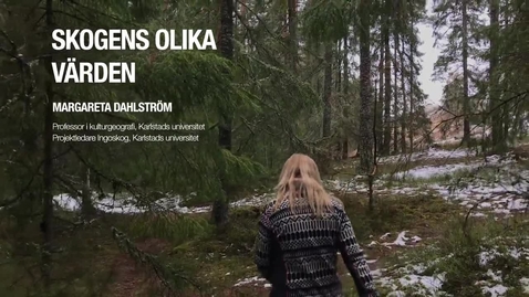 Thumbnail for Skogens värden. Promo-film för LRA workshop 2019