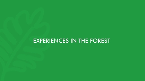 Thumbnail for Experiences in the forest. English version