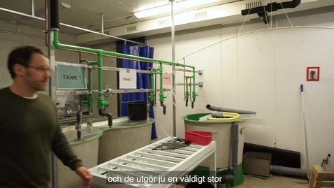 Thumbnail for Erik Sandblom professor i biologi