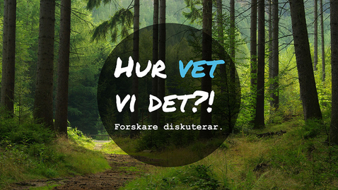 Thumbnail for Hur kan ett hållbart skogsbruk se ut i varmare klimat?