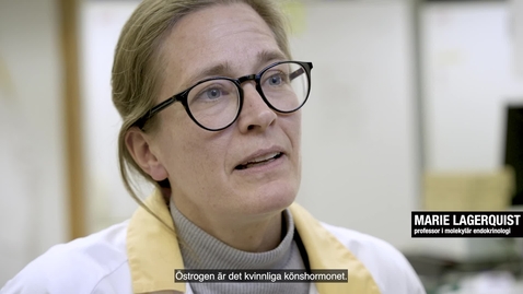 Thumbnail for Marie Lagerquist professor i molekylär endokrinologi 