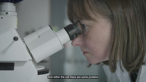 Thumbnail for Julie Grantham professor i mammal cellbiologi