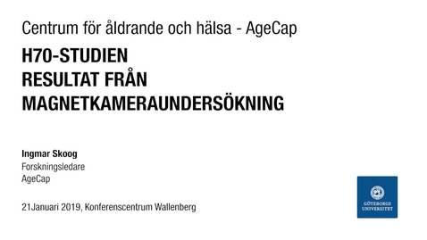Thumbnail for Resultat från magnetkameraundersökning
