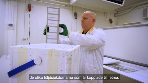 Thumbnail for Per-Arne Svensson professor i medicinsk vetenskap