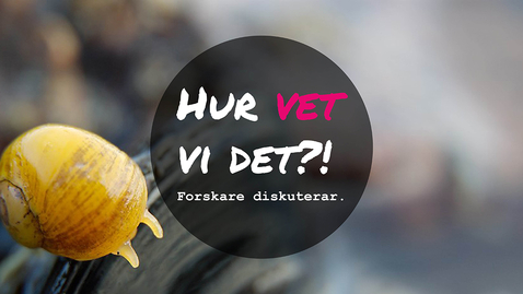 Thumbnail for Arter - är alla lika mycket värda?