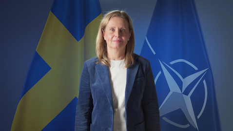 Thumbnail for Forskare förklarar: Sverige i Nato
