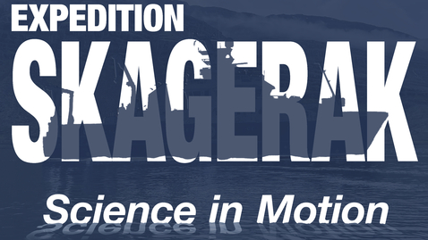 Thumbnail for 1. Kallvattenkoraller och en nyfiken fisk – till Bratten med Rhian Waller