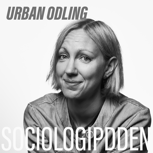 40. Urban odling