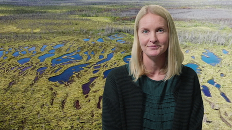 Thumbnail for Hur kan kolsänkor hjälpa klimatet?