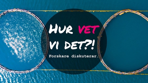 Thumbnail for Vad äter vi i framtiden?