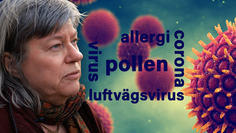 Thumbnail for Pollen ökar risken att drabbas av luftvägsvirus