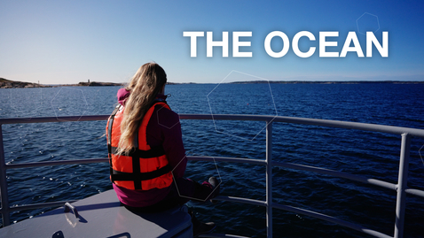 Thumbnail for The Ocean 