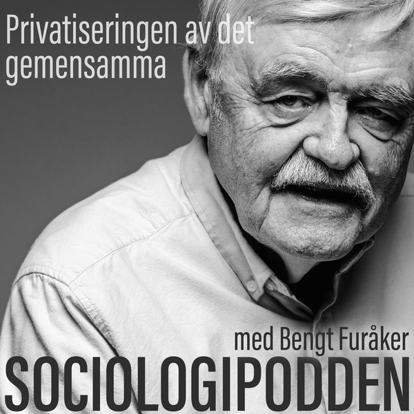 32. Privatiseringen av det gemensamma episode artwork