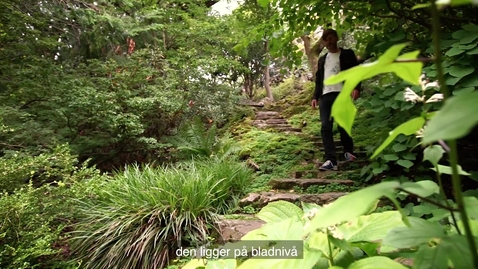 Thumbnail for Johan Uddling professor i botanisk ekofysiologi
