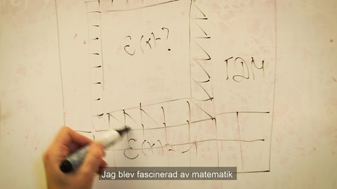 Thumbnail for Larisa Beilina professor i tillämpad matematik