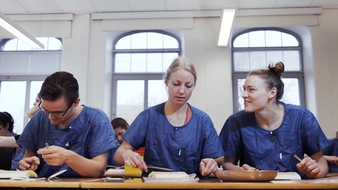 Thumbnail for Kompletteringsutbildning till sjuksköterska för dig som utbildat dig utomlands