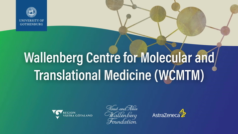 Thumbnail for Translational Research: From Molecule to Clinical Impact 